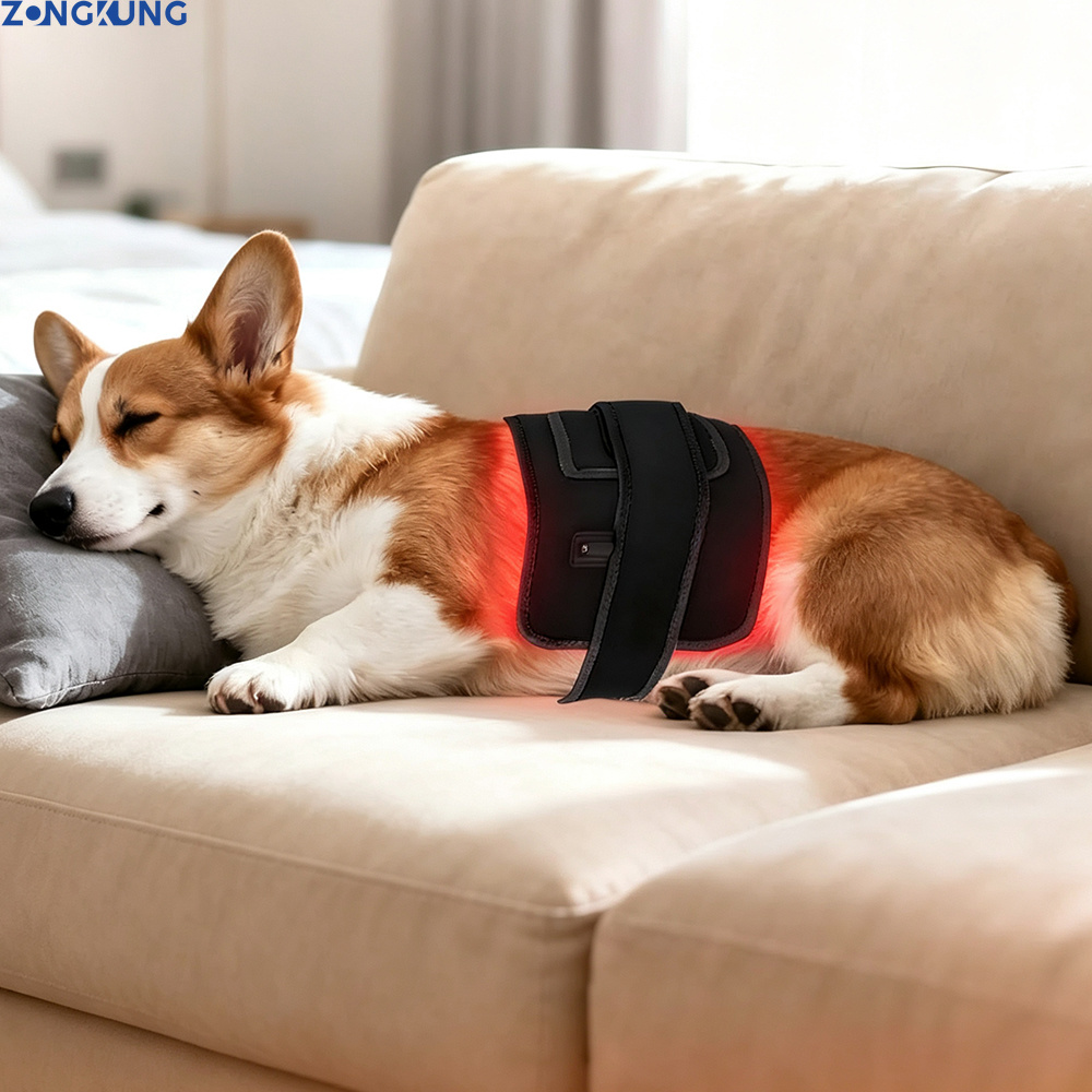 Galvanic Skin Sensor - Dispositivo Veterinario per Terapia a Luce